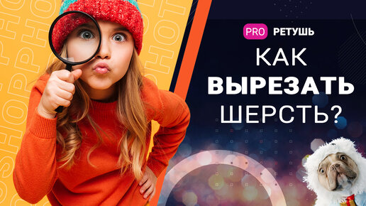 Как вырезать шерсть или волосы в photoshop?