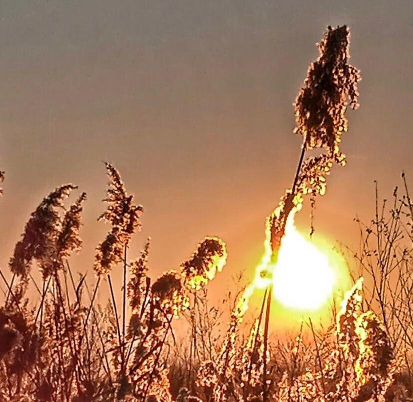 "Закат в огне"