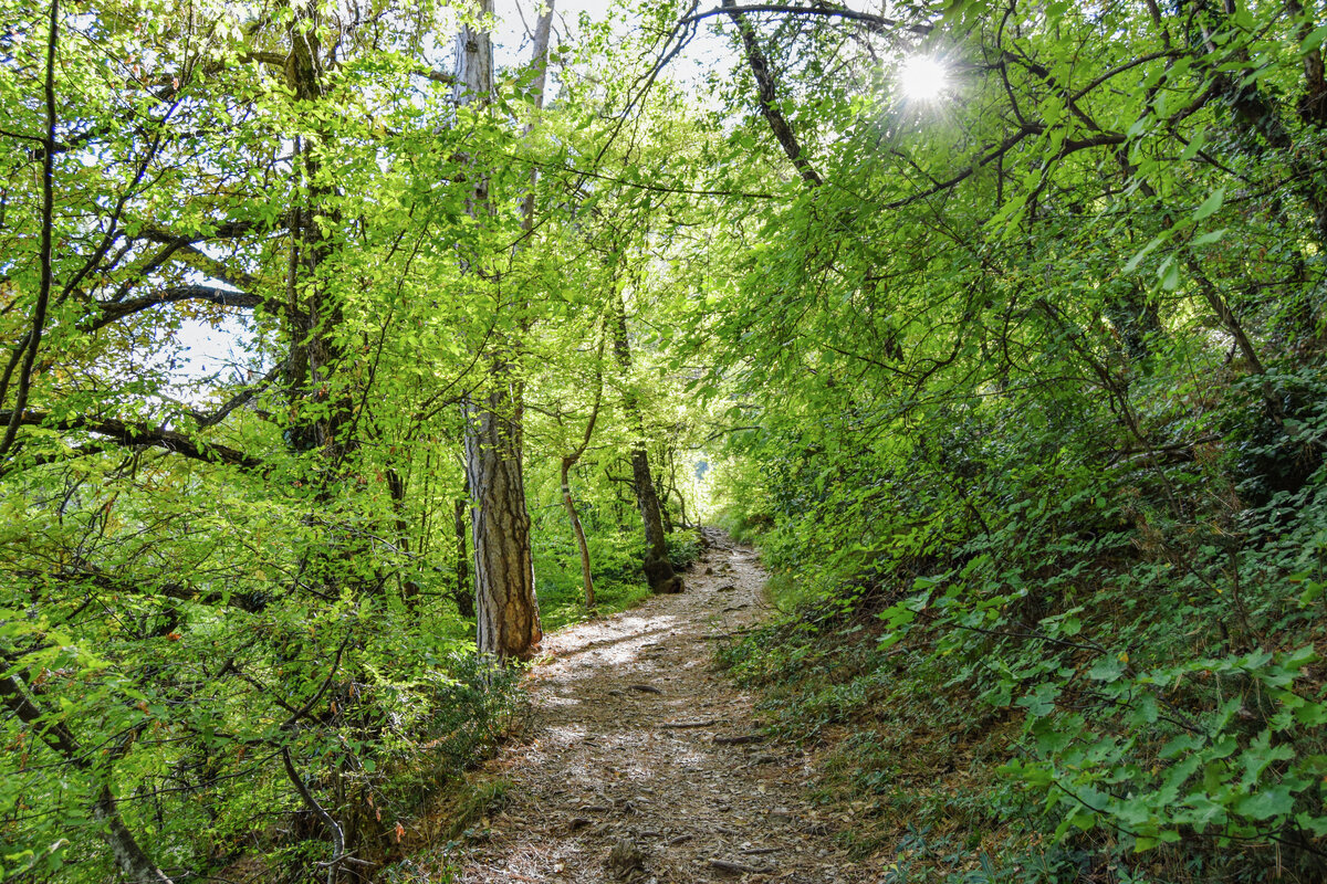 Боткинская тропа // Туристический портал Республики Крым, Светлана Мальцева 