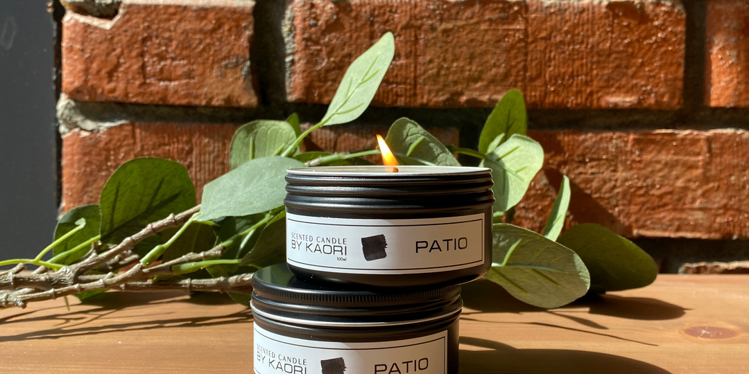 Найдено лучшее средство борьбы с комарами!