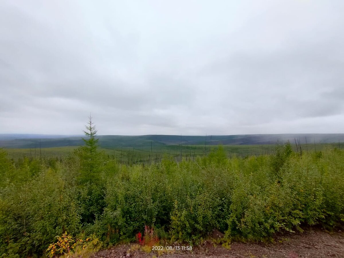 Бескрайность... 