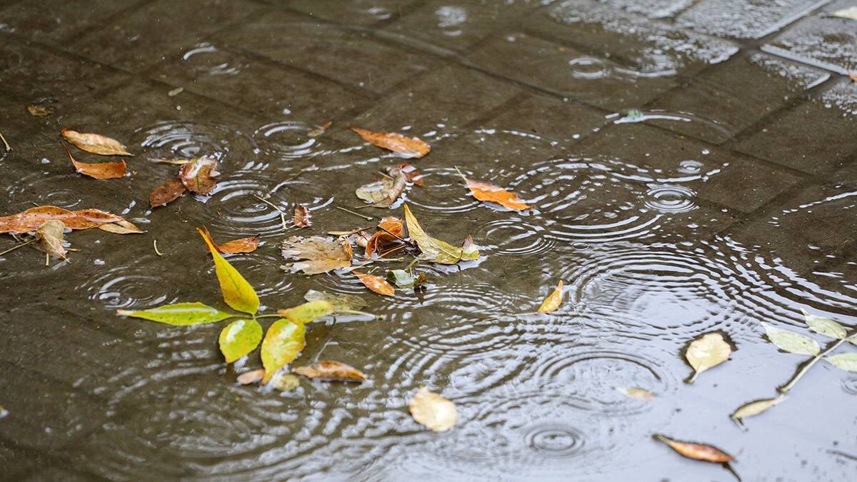    Фото: Андрей Никеричев / АГН Москва