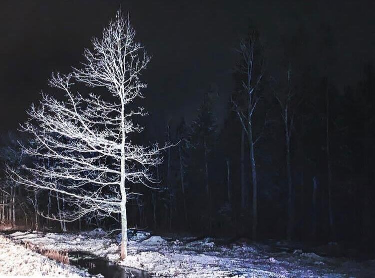 Щёлковая Гора