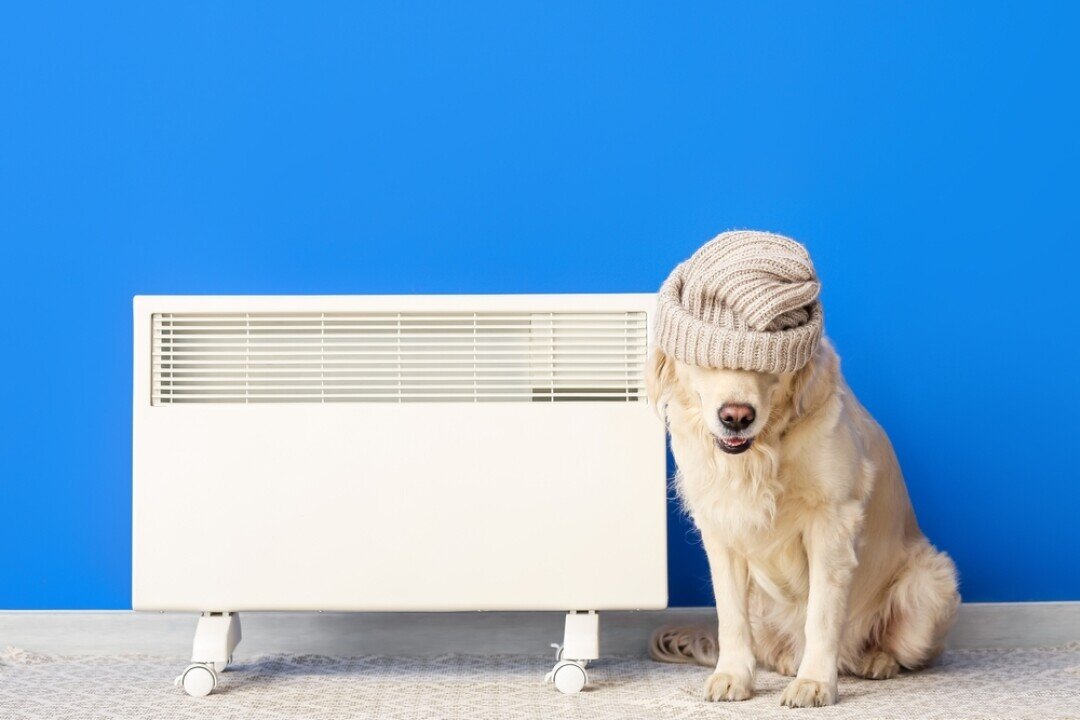 Фото: Shutterstock.com