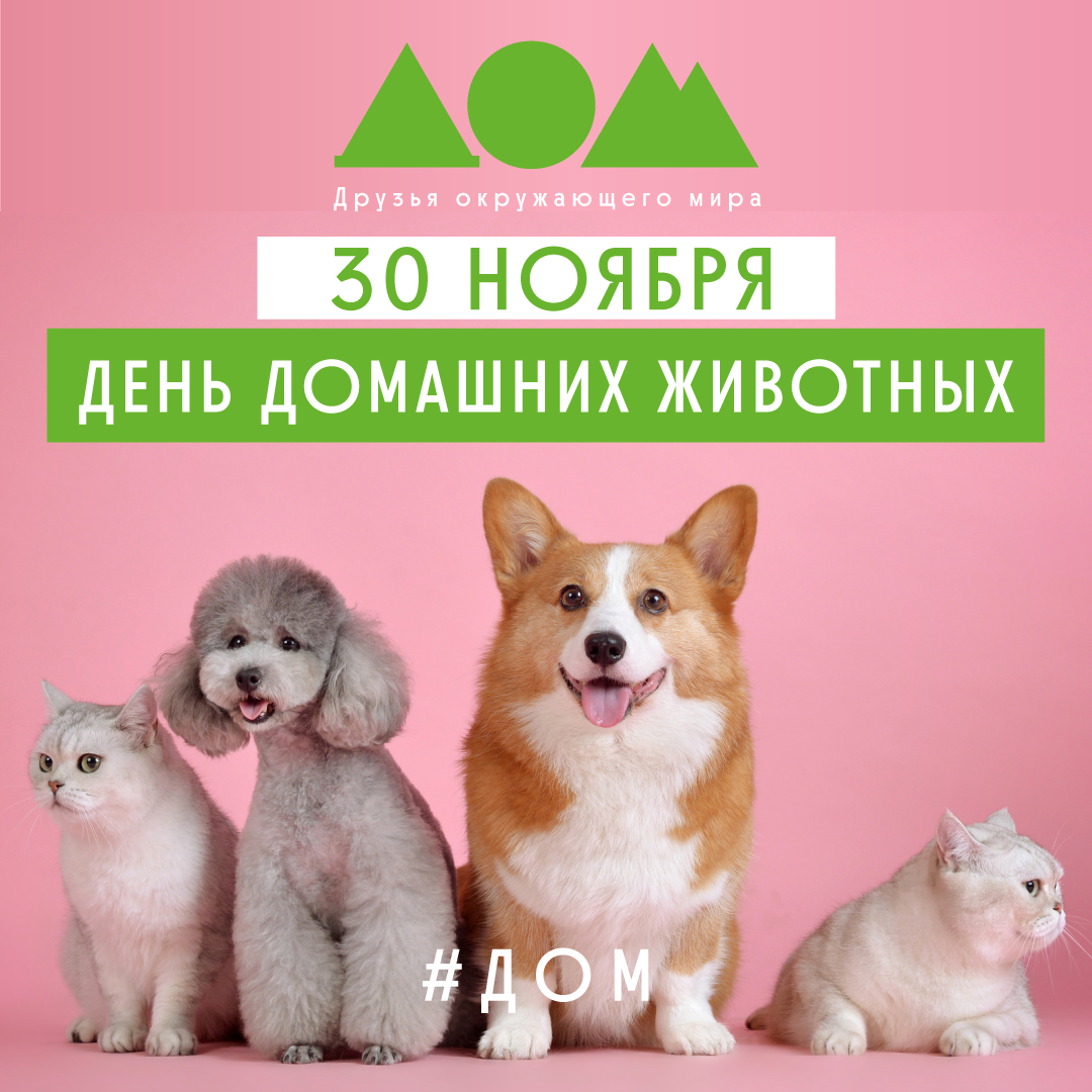 С Днем домашних животных!