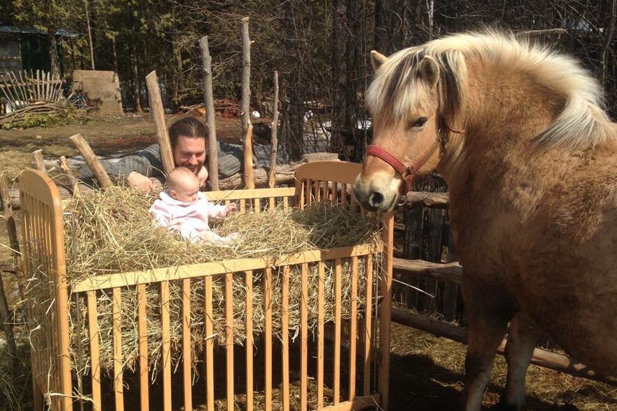     Всё натуральное, никаких счетов: пара из городской квартиры переехала жить в лес