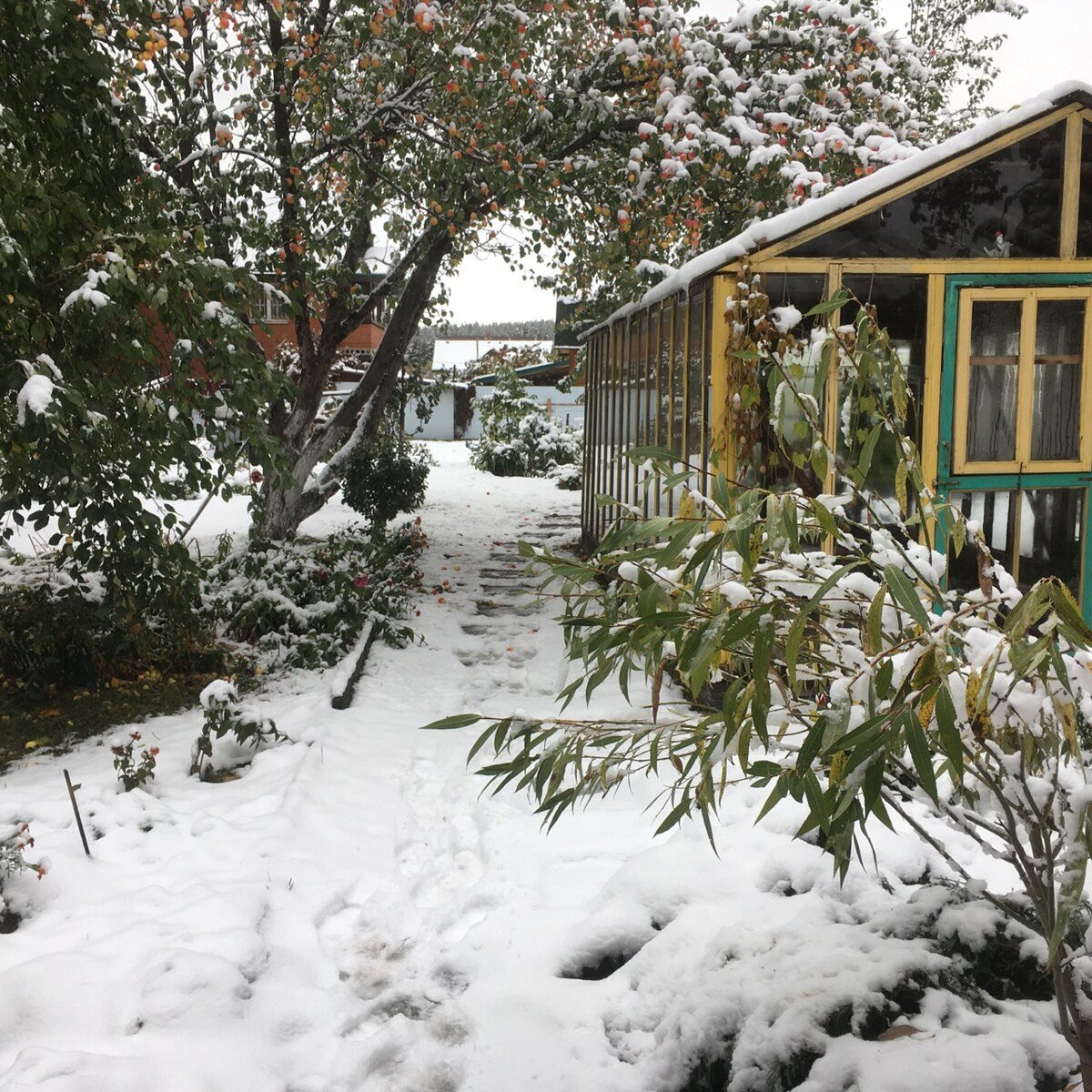 Утро вторника, когда детки уже пойманные греются дома.