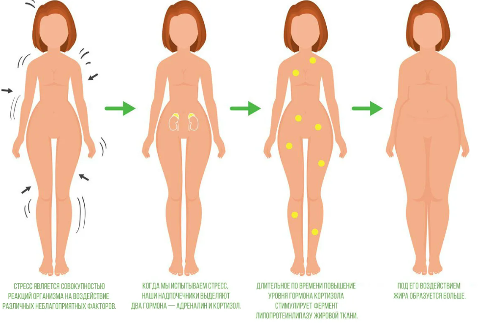 Фотография взята из источника ladylifestyle.ru