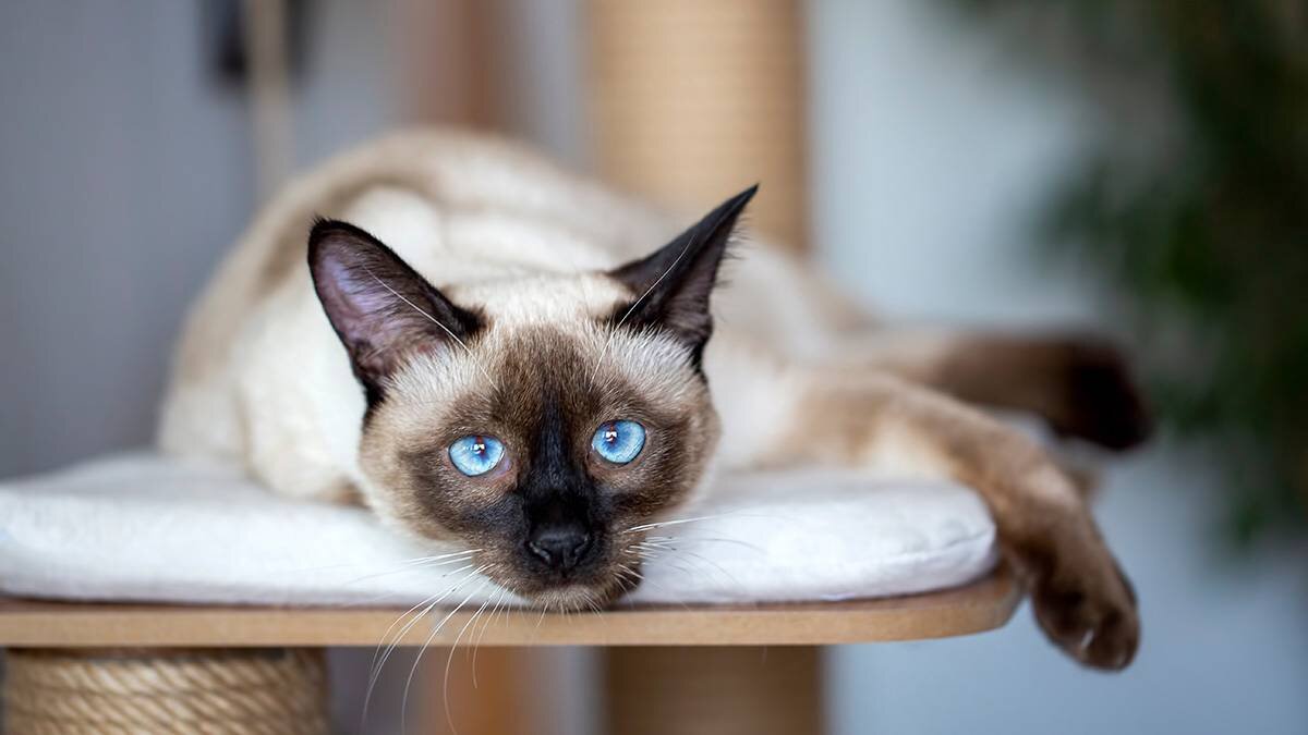    Фото: shutterstock