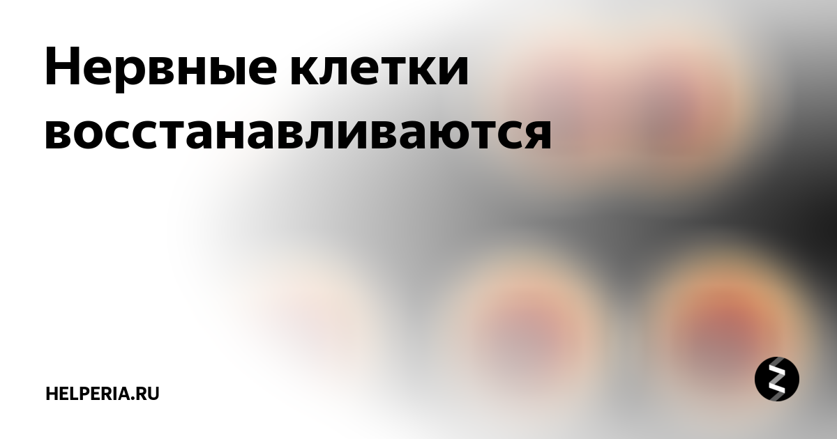 Клетки не восстанавливаются. Нервные клетки не восстанавливаются. Нервы восстанавливаются или нет. Как можно быть спокойным когда все клетки нервные. Подарите мне нервные клетки.