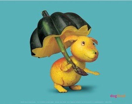 Собака из овощей и фруктов