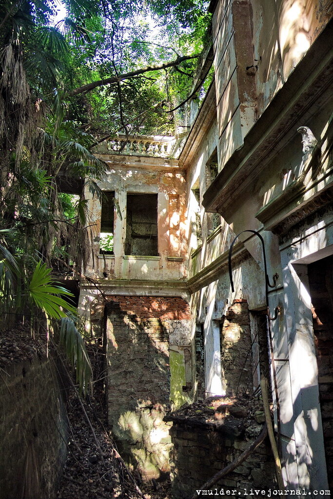 Внезапно среди гигантских пальм и джунглей...

Фото 2. 
