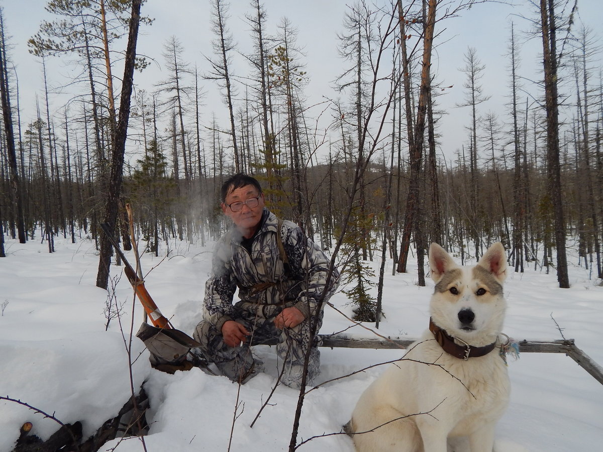 Охота эвенков Якутии. Эвенки охотники. Эвенкийский охотник. Bult hunting требования