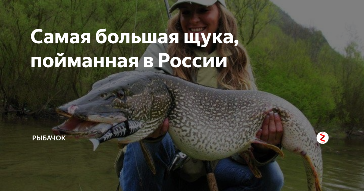 самая большая щука выловленная в россии