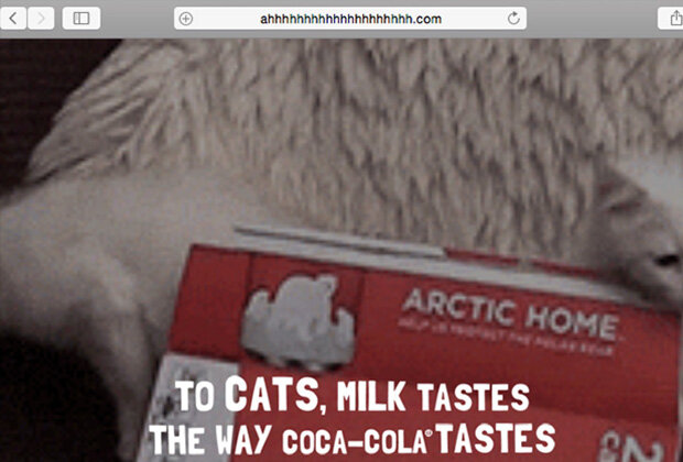 «Котосайт», созданный Coca-cola