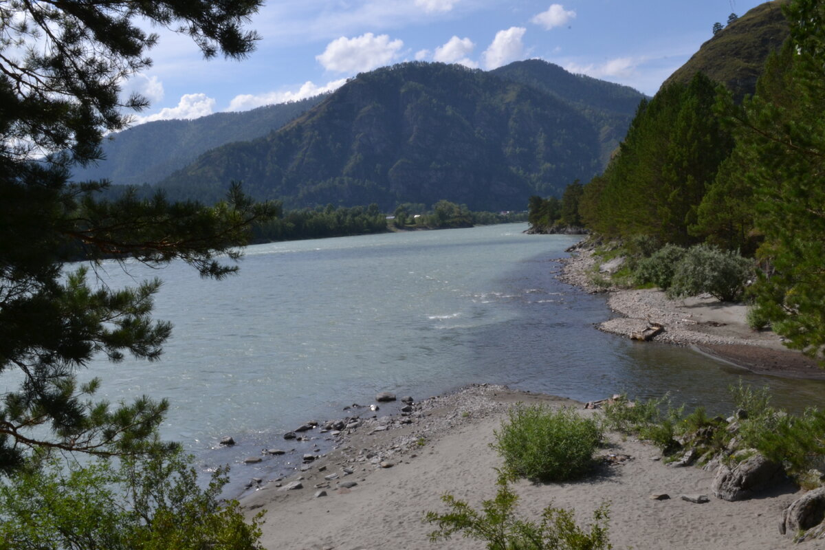 Впадение реки Куюм в катунь.