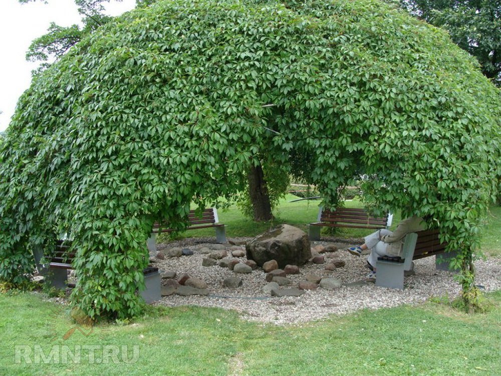 Фото greenpark46.ru