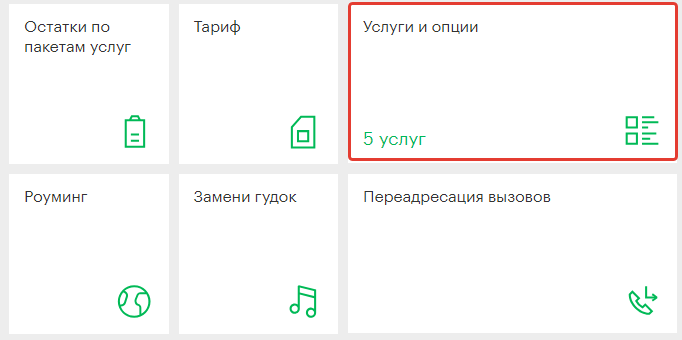 Выберите раздел «Услуги и опции» 