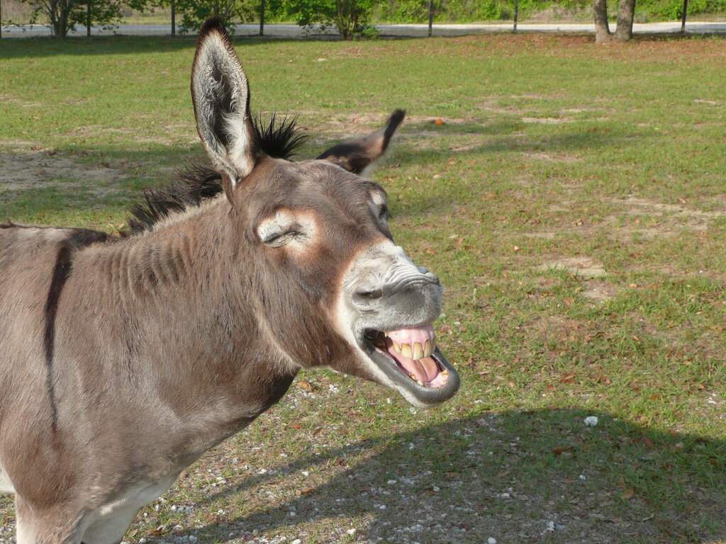 Работник в глазах работодателя. Трудно не согласиться)