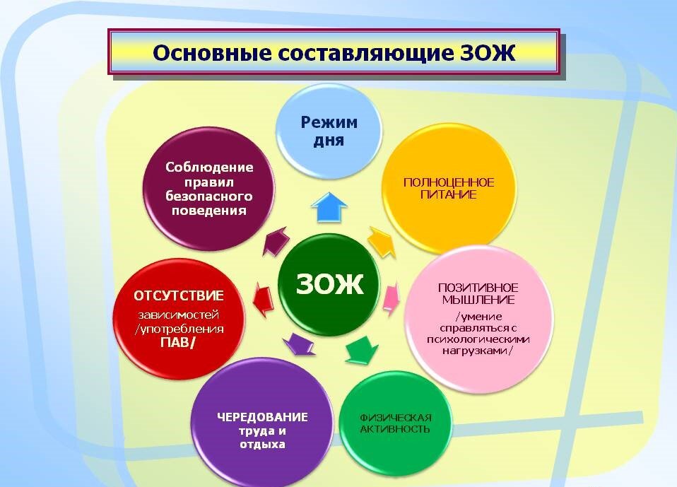 Компоненты безопасного поведения