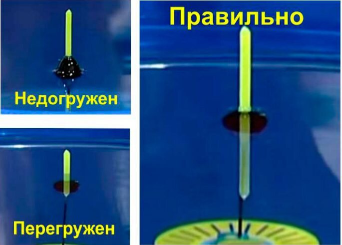 Ловля карася на поплавочную удочку - маховое удилище и болонка, матчевая снасть