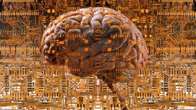   Компьютерные нейросети, на основе которых строится искусственный интеллект, устроены по своей сути также, как и их анатомические прародители.