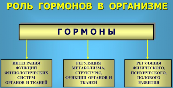 Проект на тему гормоны 8 класс