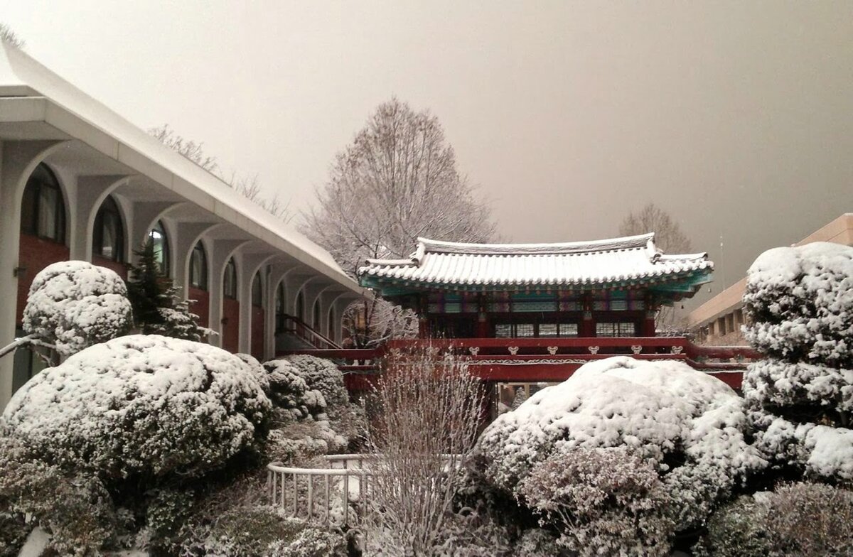 климат в пекине по месяцам. какая погода в китае в январе. климат китая диаграмма. погодная карта китая. температура в китае.