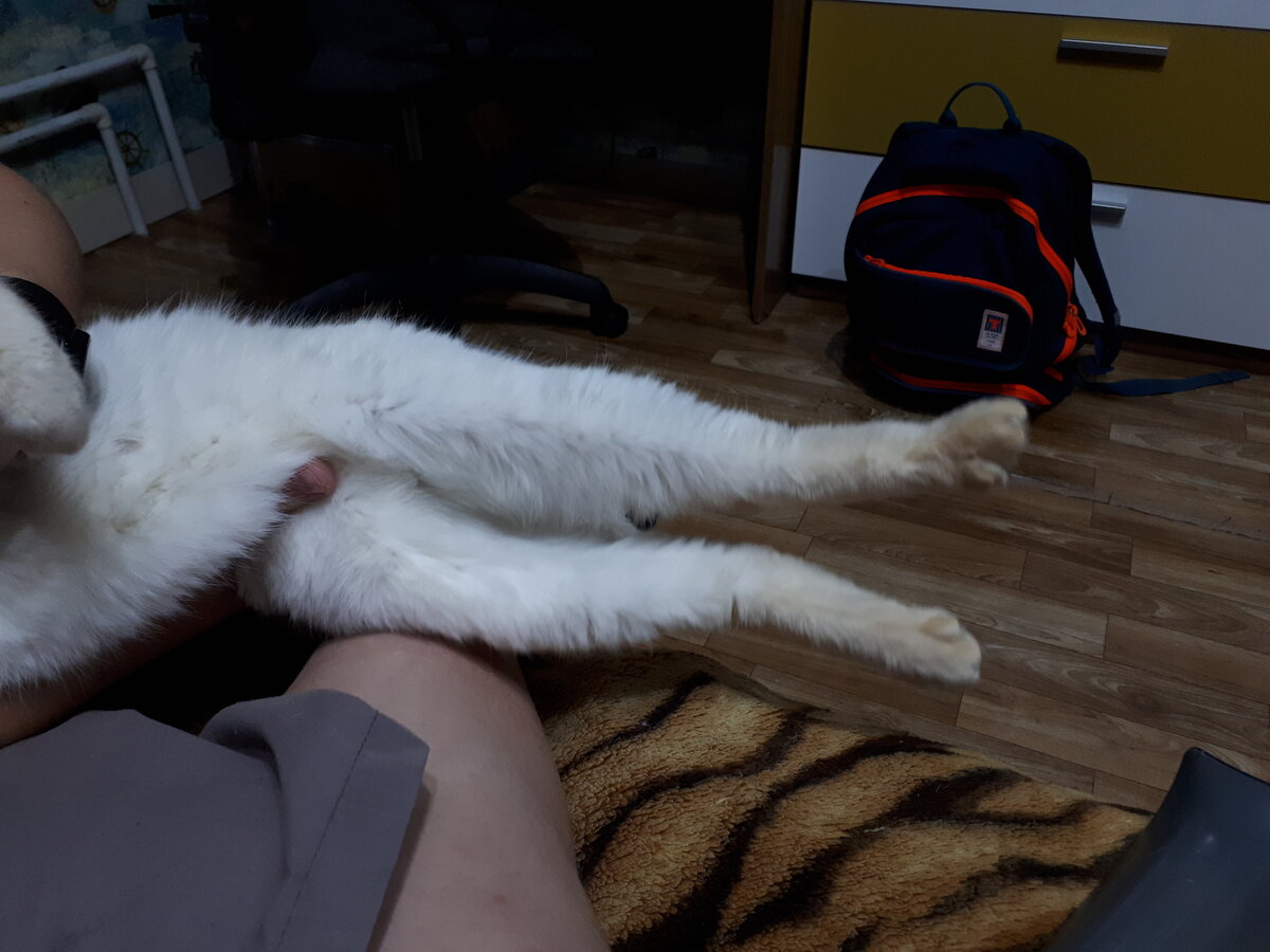 -2