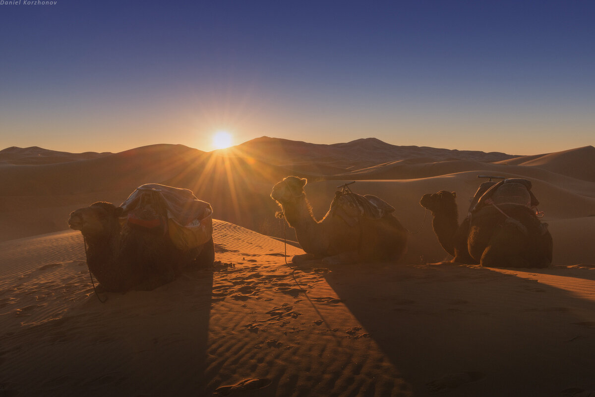 фотография взята из интернета