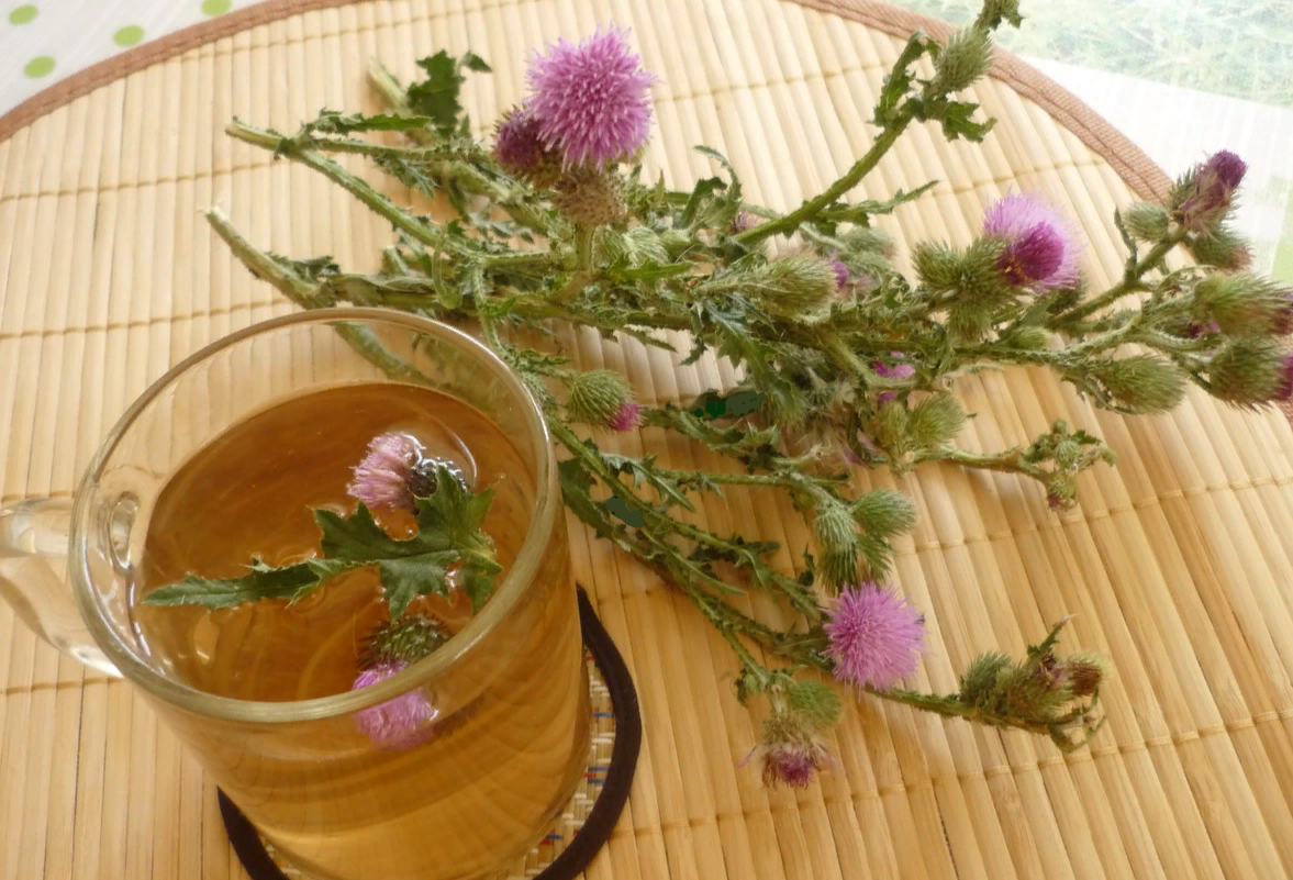 Чай из расторопши для здоровой печени