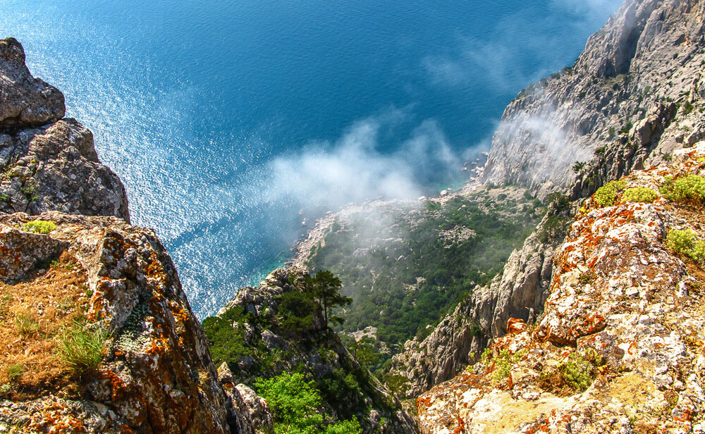 Ссылка на фото