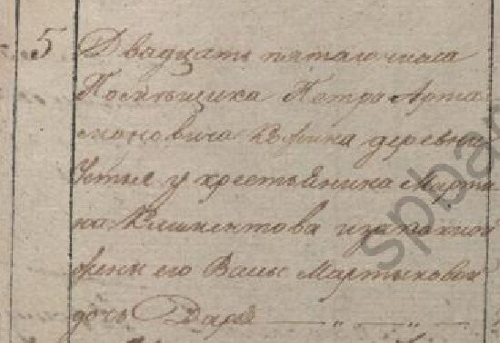 Метрическая запись от 25 марта 1835 года о рождении дочери Дарьи у крестьянина деревни Устье Мартына Климентова. Указано, что Устье — деревня помещика Петра Артамоновича Кожина (ЦГИА СПб. Фонд 19. Опись 124. Дело 417. Лист 288)