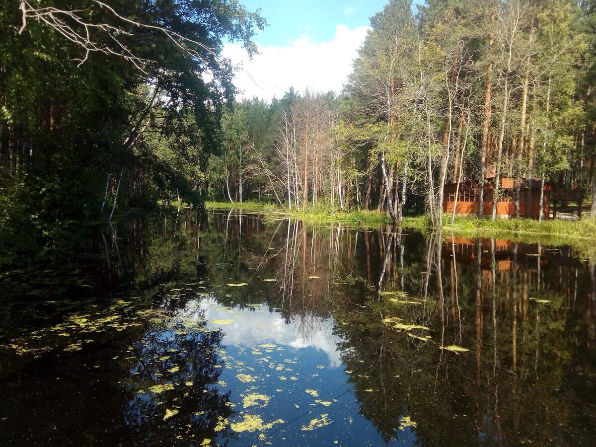 Калиновские разрезы екатеринбург фото