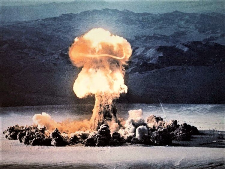 Фото the national