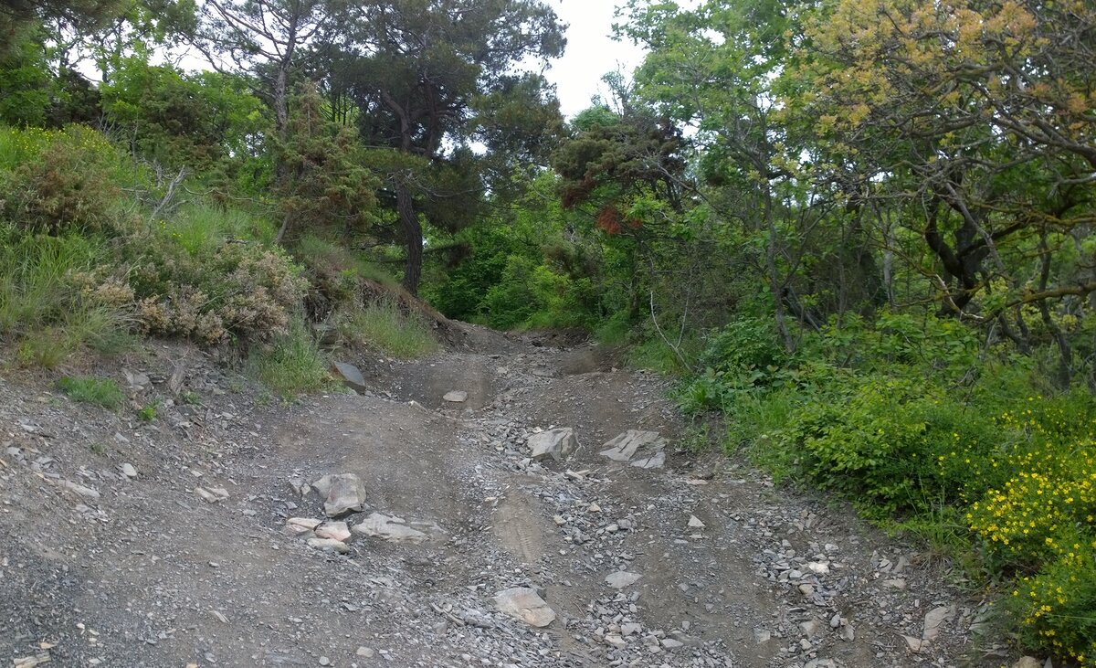 заповедник утриш краснодарского края. дорога сукко малый утриш. дорога на малый утриш. краснодарский край где чище. малый утриш пляж.