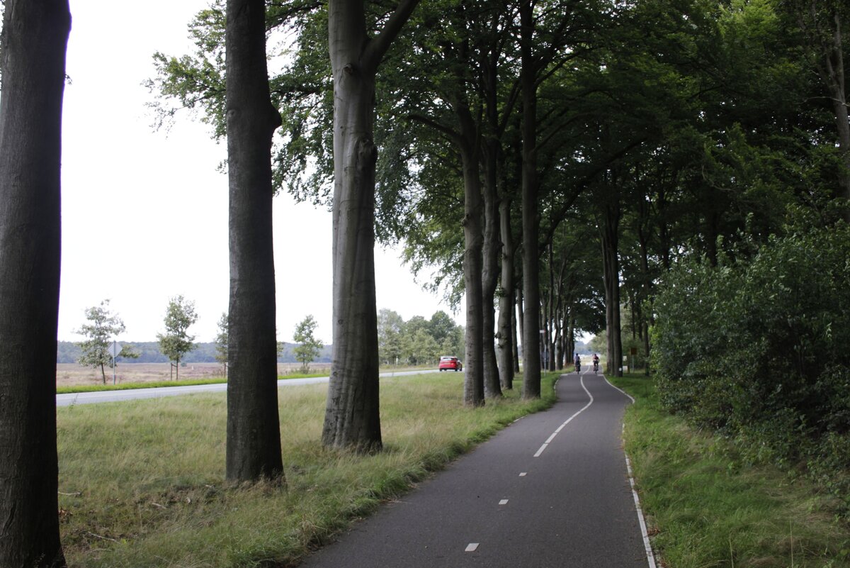 Велодорожка в Нидерландах между городами(!).