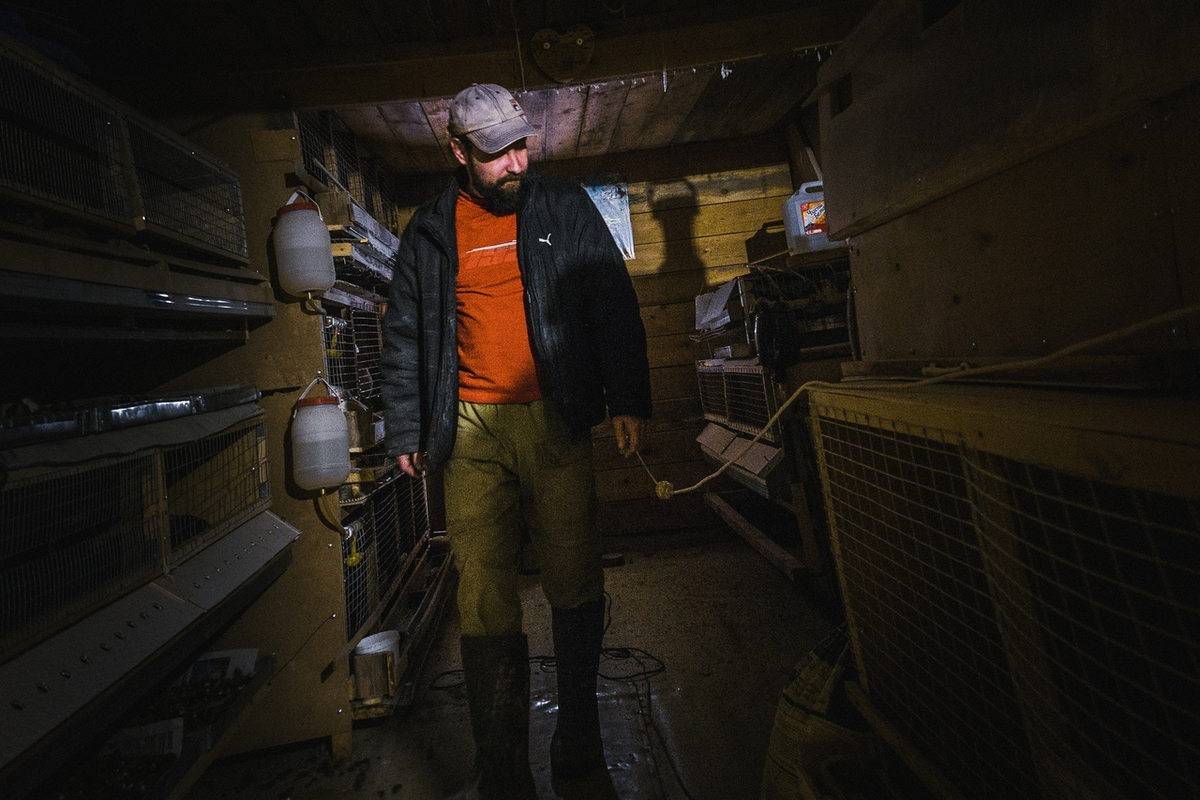 Я в курятнике...