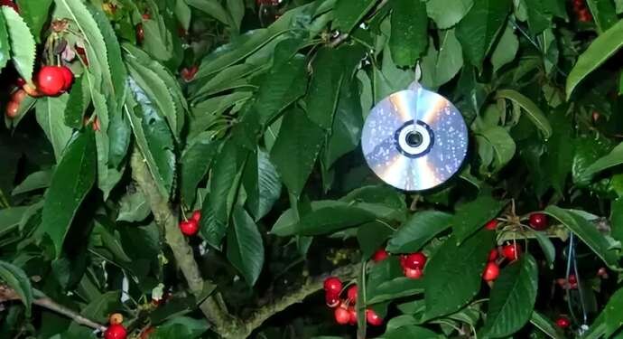 Использование CD дисков