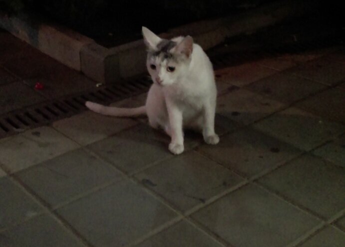 Эх, дядька, что же ты... 