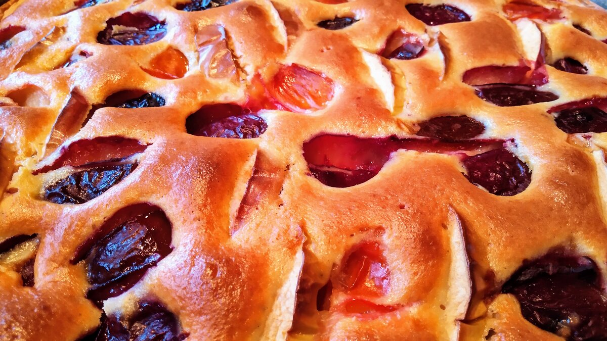 Простой рецепт. Творожный пирог со сливами