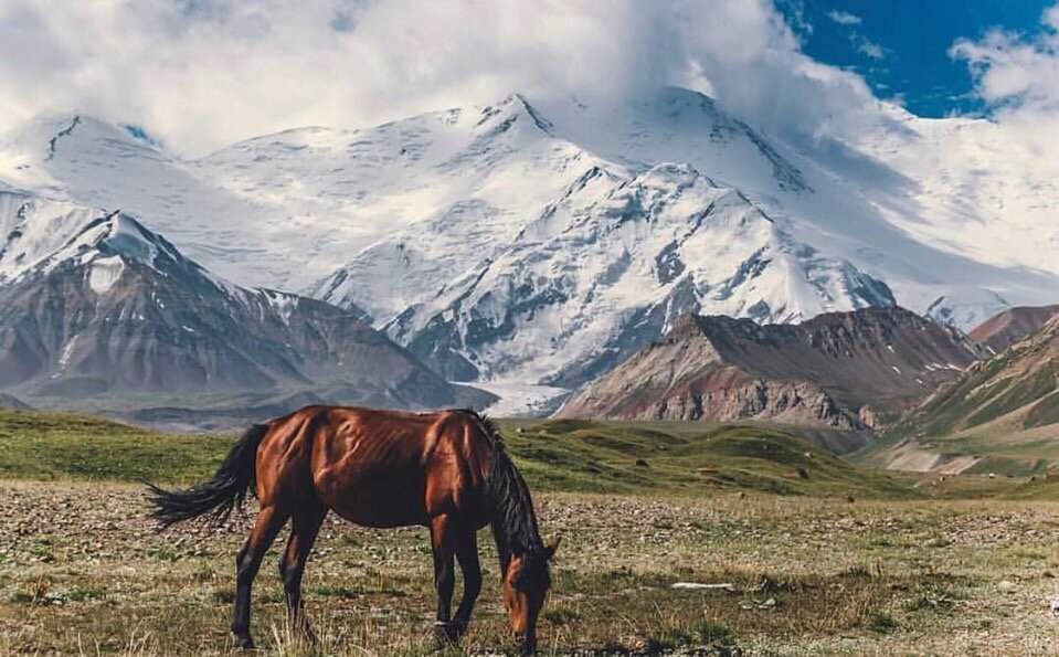 Киргизия Луга горы лошади