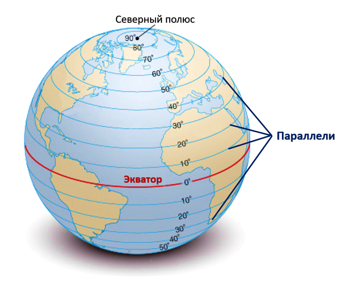 60 градусов в км. Экватор Меридиан параллель широта долгота. Земля с экватором меридианами параллелями. Глобус меридианы параллели Экватор. Экватор параллель Меридиан географическая широта Меридиан.