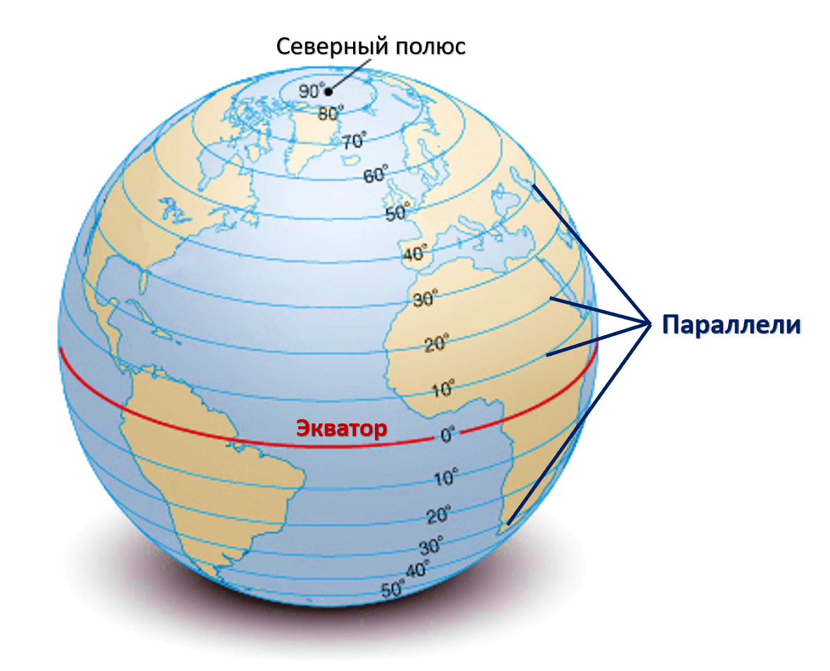 Точек земного шара. Глобус меридианы параллели Экватор. Меридиан параллель полюс Экватор на глобусе. Экватор Меридиан параллель. Параллели на глобусе.