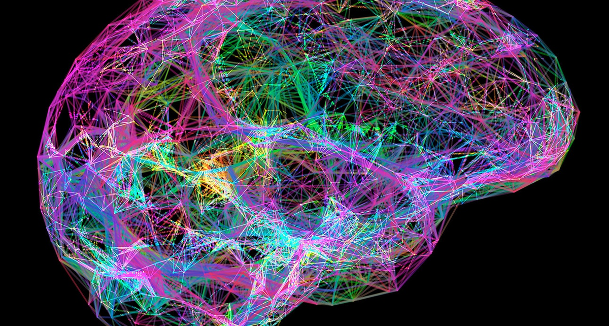 подробнее можно прочитать в книге "Мозг. Ваша личная история" Дэвид Иглмен 