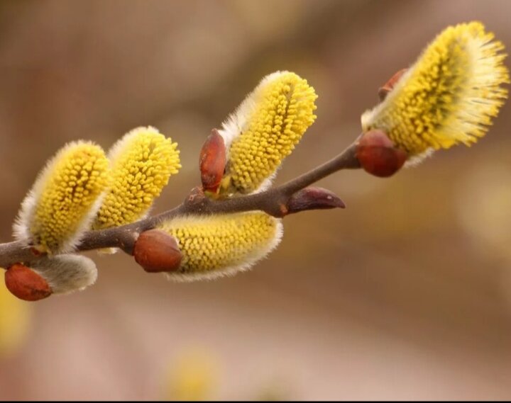 Эта история произошла с моей близкой знакомой.