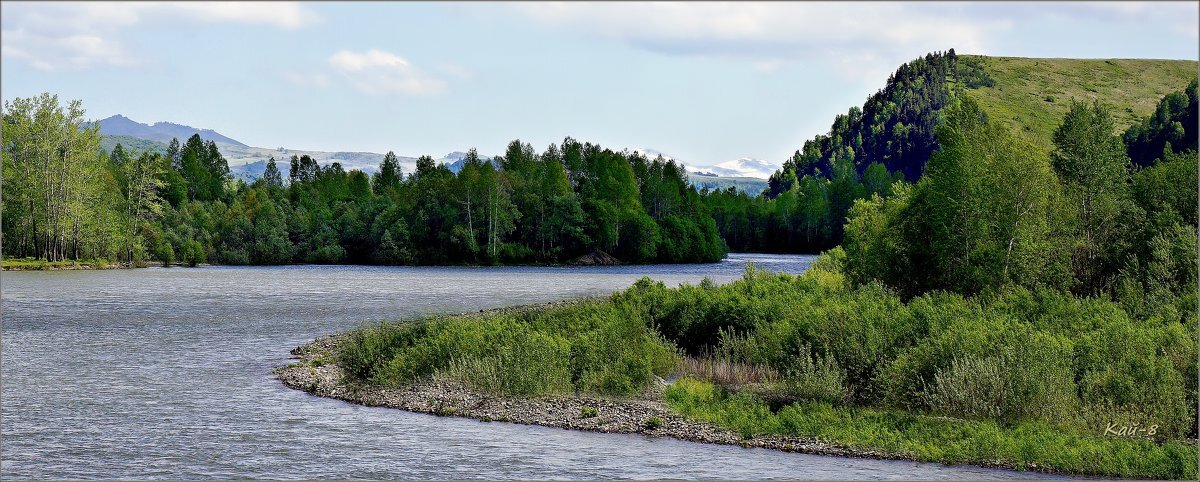 Река Чарыш.