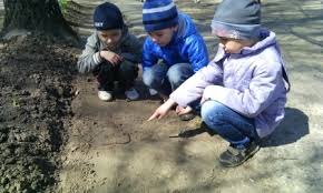 Ну и что тут опасного?