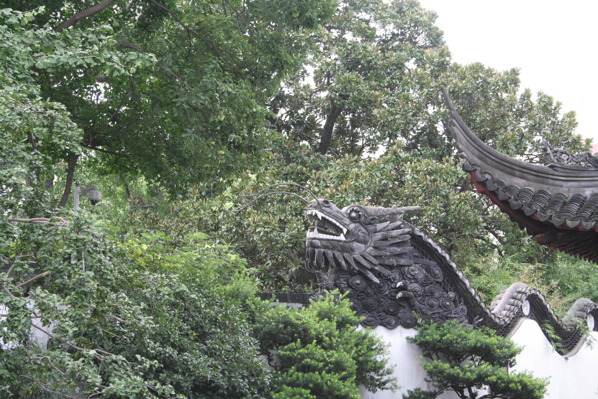 Крыша дома, вид из парка Юй Юань