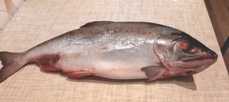 У меня красавица на 1,8 кг.